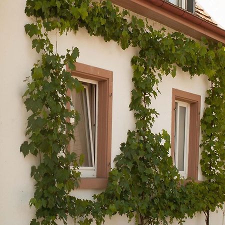 Ferienhaus Am Kuenstleratelier Ригел Екстериор снимка